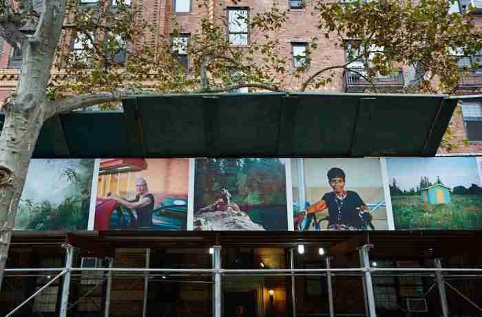 Photos on a green scaffold